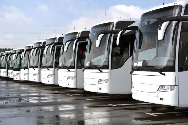 bus fleet